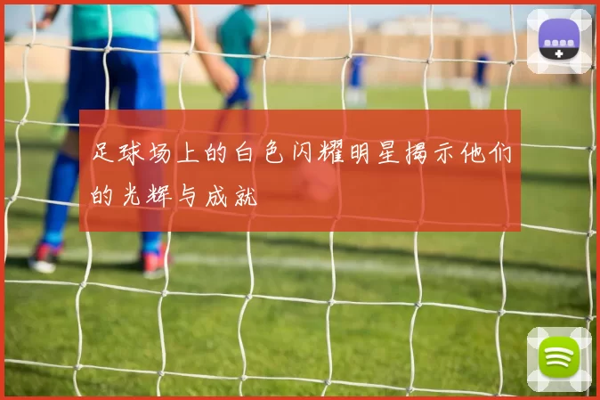 足球场上的白色闪耀明星揭示他们的光辉与成就