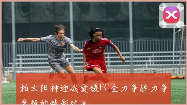 柏太阳神迎战爱媛FC全力争胜力争晋级的精彩对决