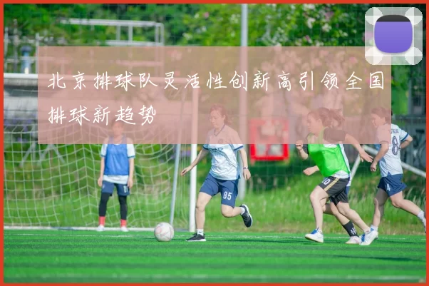 北京排球队灵活性创新高引领全国排球新趋势