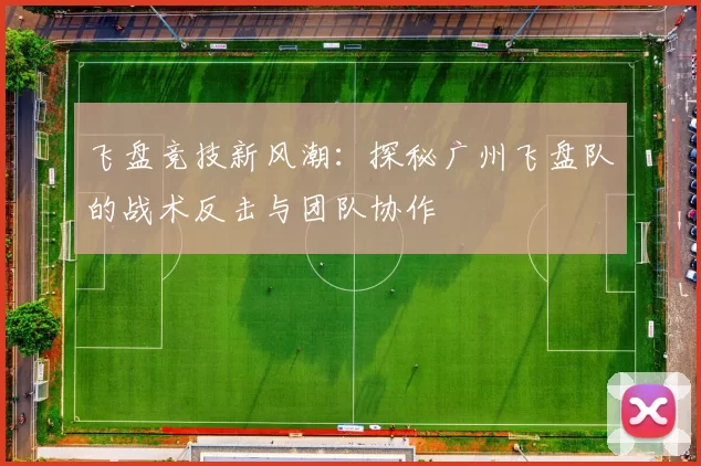 飞盘竞技新风潮：探秘广州飞盘队的战术反击与团队协作