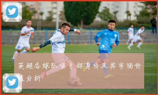 英超各球队俱乐部身价及其市场价值分析