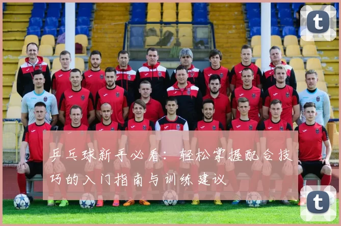 乒乓球新手必看：轻松掌握配合技巧的入门指南与训练建议