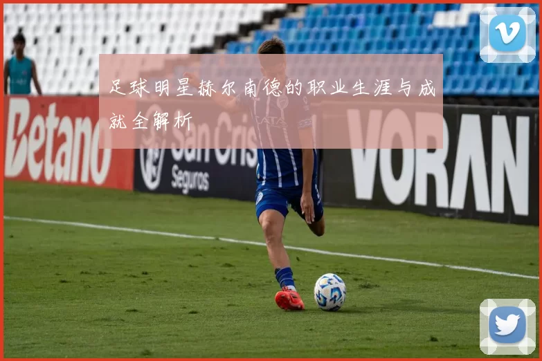 足球明星赫尔南德的职业生涯与成就全解析