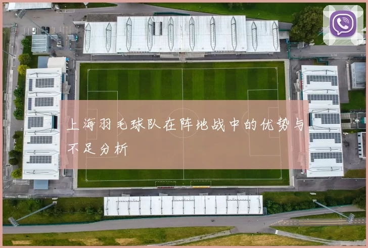 上海羽毛球队在阵地战中的优势与不足分析