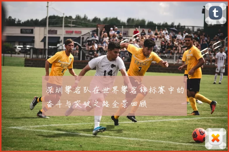 深圳攀岩队在世界攀岩锦标赛中的奋斗与突破之路全景回顾