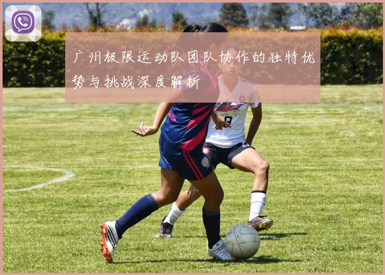 广州极限运动队团队协作的独特优势与挑战深度解析