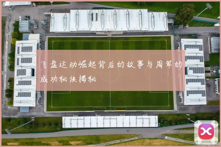 飞盘运动崛起背后的故事与周军的成功秘诀揭秘