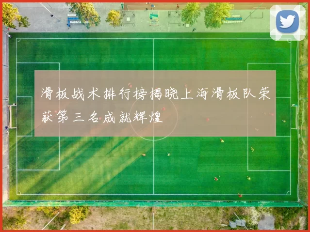 滑板战术排行榜揭晓上海滑板队荣获第三名成就辉煌