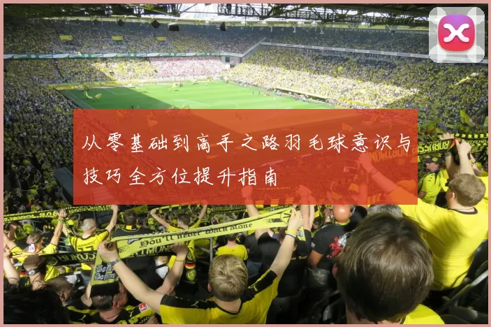 从零基础到高手之路羽毛球意识与技巧全方位提升指南