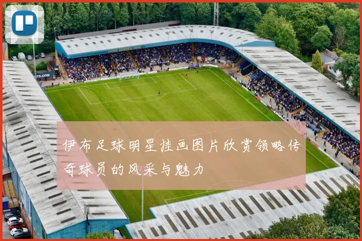 伊布足球明星挂画图片欣赏领略传奇球员的风采与魅力