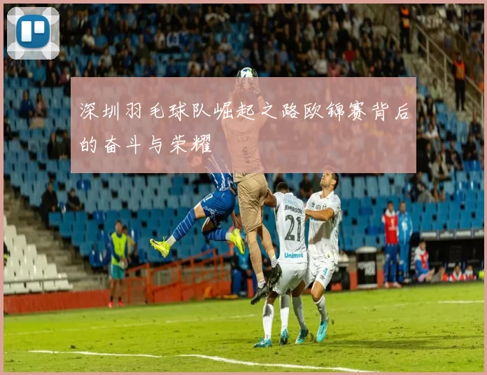 深圳羽毛球队崛起之路欧锦赛背后的奋斗与荣耀