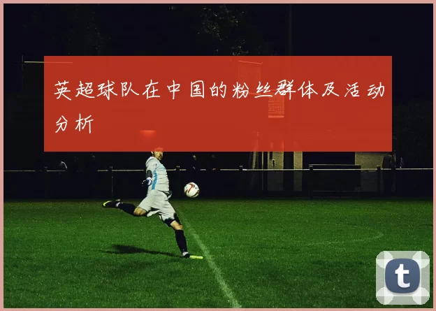 英超球队在中国的粉丝群体及活动分析