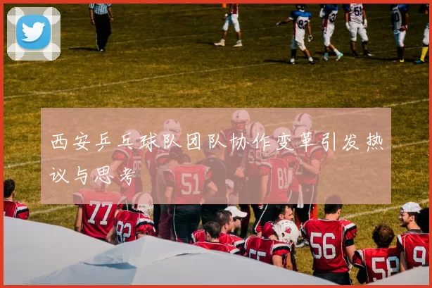 西安乒乓球队团队协作变革引发热议与思考