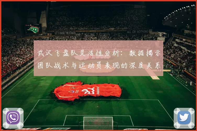 武汉飞盘队灵活性分析：数据揭示团队战术与运动员表现的深度关系