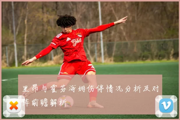 里昂与霍芬海姆伤停情况分析及对阵前瞻解析