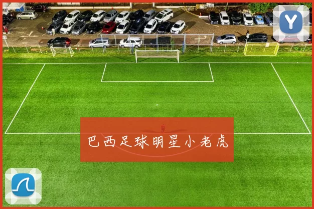 巴西足球明星小老虎