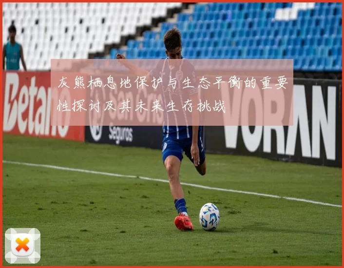 灰熊栖息地保护与生态平衡的重要性探讨及其未来生存挑战