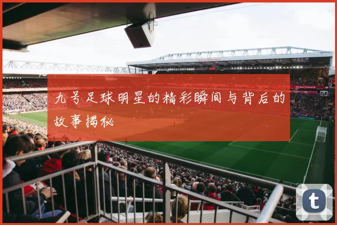 九号足球明星的精彩瞬间与背后的故事揭秘