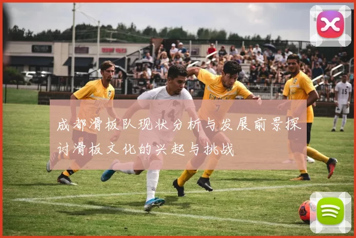 成都滑板队现状分析与发展前景探讨滑板文化的兴起与挑战