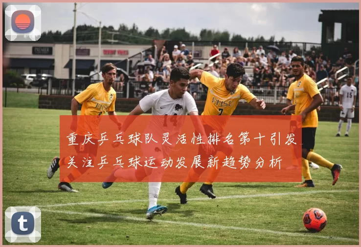 重庆乒乓球队灵活性排名第十引发关注乒乓球运动发展新趋势分析