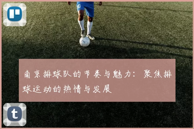 南京排球队的节奏与魅力：聚焦排球运动的热情与发展