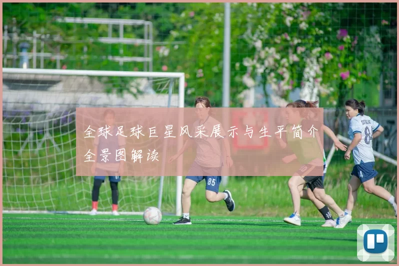 全球足球巨星风采展示与生平简介全景图解读